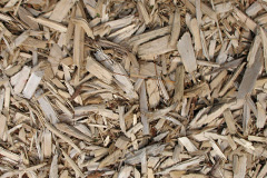 biomass boilers Dull